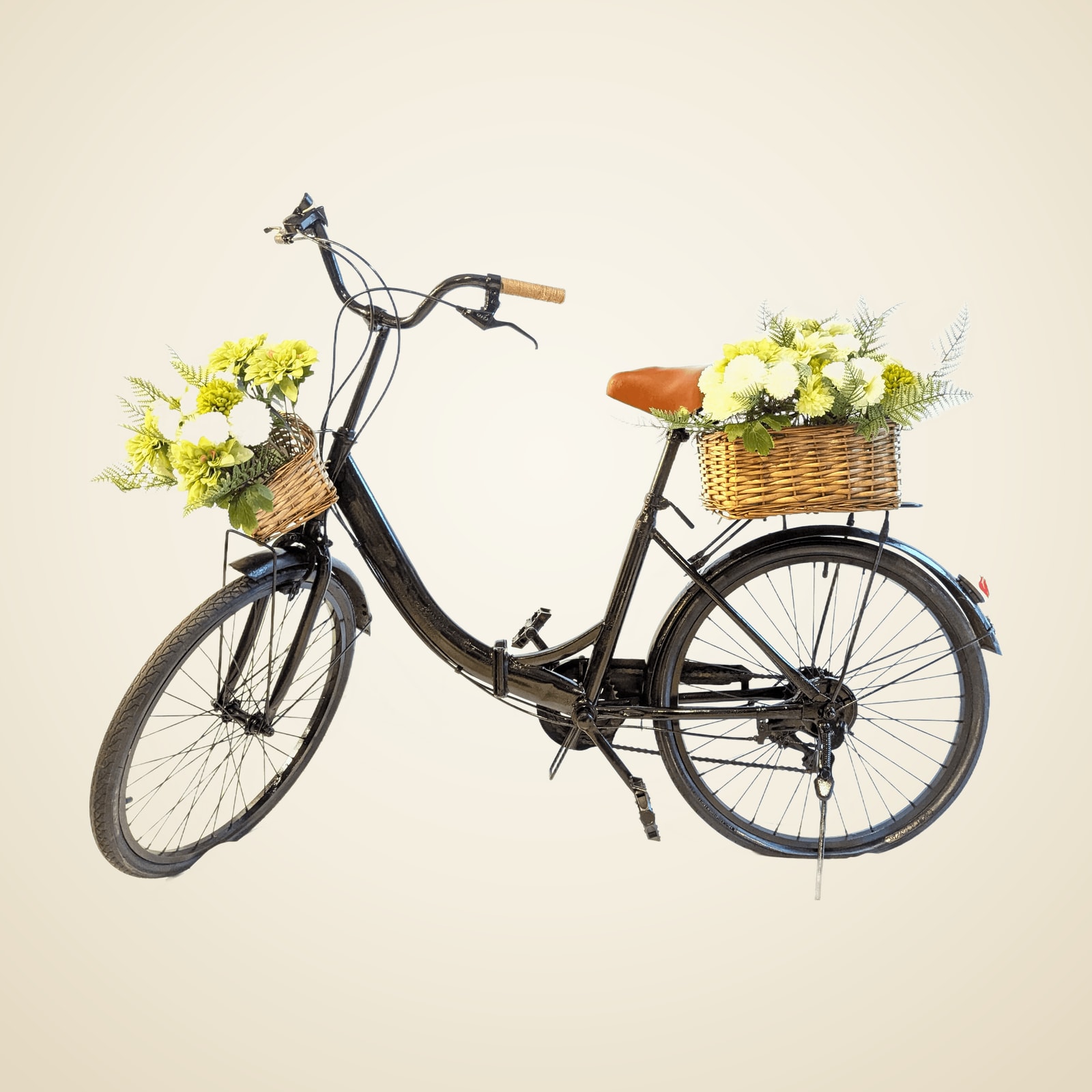 Display Welcome Bike